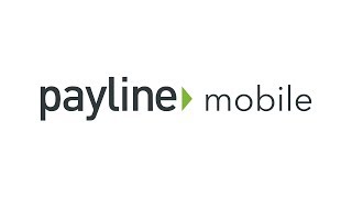 Payline Mobile™ How to Log In For the First Time [upl. by Orlena916]