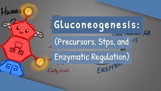 Gluconeogenesis [upl. by Eulalee]