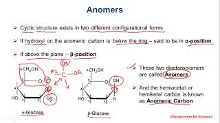 LEC 12  Cyclic Structure of Monosaccharides Anomers Cyclization of Glucose and Fructose [upl. by Matlick469]