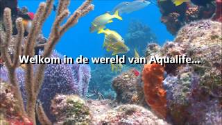 Aqualife Aquarium  OCEAN DREAM NIEUW 2018 [upl. by Pascale]