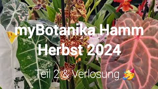 myBotanika Hamm Herbst 2024 🌱  Teil 2 mit Nebenraum amp Verlosung 🥳 [upl. by Ynnot]