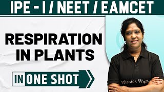 RESPIRATION IN PLANTS  One Shot  Botany  Class 11  NEET  EAMCET [upl. by Housen]