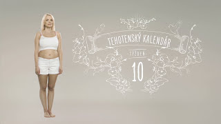 Tehotenský kalendár 10 týždeň [upl. by Elman]