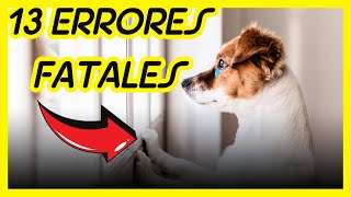 13 ERRORES FATALES QUE HARÁN QUE TU PERRO VIVA MENOS [upl. by Lamee]