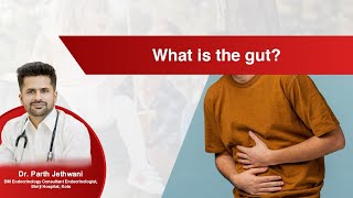 What is the gut  Dr Parth Jethwani [upl. by Maccarone]