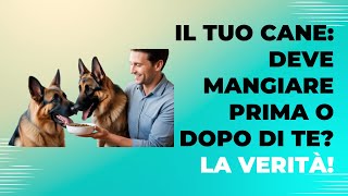 Il tuo cane deve mangiare prima o dopo di te [upl. by Skerl]