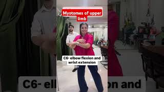 Myotomes of upper limb music medical physiotherapy [upl. by Ynneh]