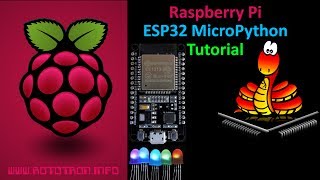 ESP32 MicroPython Tutorial with Raspberry Pi [upl. by Uon]