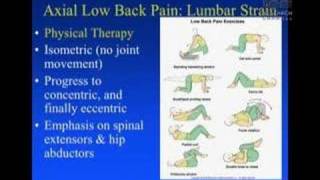 Conservative Management of Low Back Pain [upl. by Alejoa852]