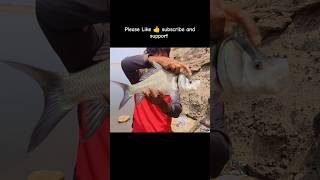 Fishing in india  Fishing vlog  Fishing video fishing video shorts views like subscribe [upl. by Yendis]