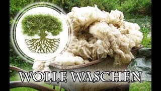 Wolle waschen Wollwäsche mit Rohwolle vom Schaf  Spinnereien mit Wolle [upl. by Penni]