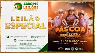 agropecleiloescom LEILÃO ESPECIAL PÁSCOA  ESPLANADA LEILÕES  CRIXÁSTO 31032024 [upl. by Velasco752]