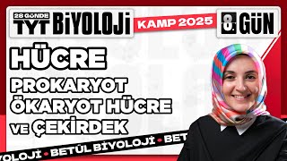 8 Hücre  2025 TYT Biyoloji Kampı 8 Video [upl. by Felicdad]