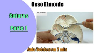 Osso Etmoide  Aula 1 Teórica  Anatomia  Anatomia Humana [upl. by Eniamrej]