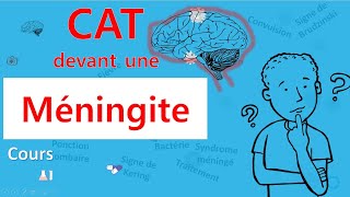 Méningite🙄 cest quoi la CAT 🤔  Cours  Infectiologie [upl. by Enovad]