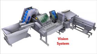 VMK Fully Automatic FIlleting line [upl. by Irik]