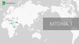 MTDNA T  DNAGENICS [upl. by Hasin]