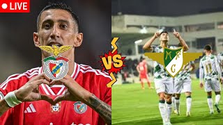 🔴Benfica vs Moreirense Ao Vivo  Liga Betclic [upl. by Ferdy]