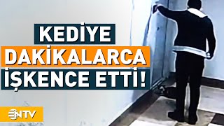 Kediyi Öldüren Zanlı İçin 4 Yıla Kadar Hapis İsteniyor  NTV [upl. by Pool]