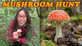 MUSHROOM HUNTING 🍁 Autumn Adventures in Washington [upl. by Gorrono645]