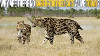 Why Are There No SaberToothed Cats Alive Nowadays [upl. by Asenev]