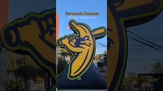 Savannah Bananas Baseball  Fun for all [upl. by Jaf469]