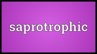 Saprotrophic Meaning [upl. by Aicaca]