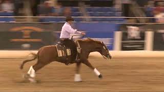 Clinton Anderson and Roll One Smoke One 2022 Cactus Reining Classic Derby [upl. by Ahsiaa177]