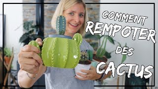 Comment rempoter un cactus sans gants et sans se piquer [upl. by Douville]