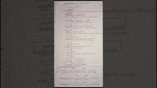 Biosynthesis of Pyrimidine biochemistry bpharmacy pyrimidine shortsyt trendingshorts viral [upl. by Merrel]