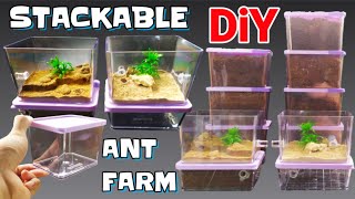 DIY STACKABLE Ant Formicarium  D colony [upl. by Orr748]