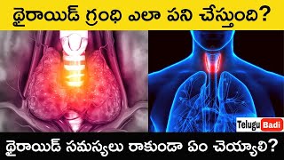 How Thyroid Gland Works Explained In Telugu  How to Cure Thyroid Problem  How to Control Thyroid [upl. by Crescint965]