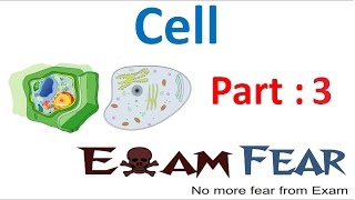 Biology Cell Part 3 Number of cells  Unicellular amp Multicellular Class 8 VIII [upl. by Aihsyn192]