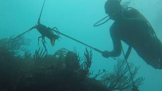 Scuba Diving Paradise  3 Hidden Dive Sites near Palmas del Mar in Humacao Puerto Rico [upl. by Stubstad]