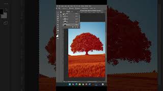 how to remove background like a pro in photoshop photoshop [upl. by Aldric]