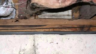 The Problem with Uninsulated Rim Joists in Vancouver Island BC  Island Basement Systems [upl. by Aicnetroh]