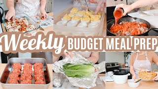 EASY BUDGET FRIENDLY WEEKLY MEAL PREP RECIPES LARGE FAMILY MEALS WHATS FOR DINNER FREEZER MEALS [upl. by Iroak]