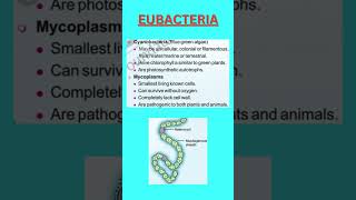 Class 11 Chapter 2 Archaebacteria and Eubacterianeet biology neet2025 neet2026 neetbiology [upl. by Arrim]