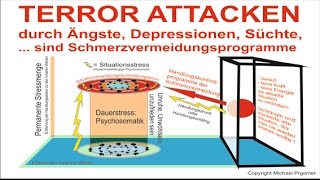 Psychosomatik Ursachen DOKU Ängste Depressionen Sucht Burnout sind Schutzprogramme KS Therapie [upl. by Reviel]