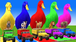 5 Giant Duck CartoonCowElephantTigerLionDinosaurPaint Wild Animals Crossing Fountain Animation [upl. by Akema]