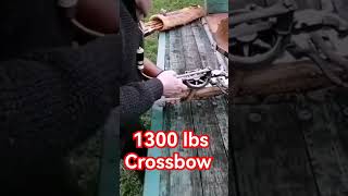 1300 lbs Historical Crossbow  1300 lbs Historische Armbrust [upl. by Eladnar]