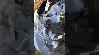 Salvador Art Works SemiFrozen Stream in Tennessee nature music meditationmusicandwatersounds [upl. by Lainey]