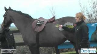 The Mares Oestrus Cycle Part 3  HorseandRider UK [upl. by Star]