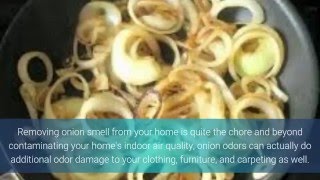 The BEST Onion Juice Recipe for Maximum HAIR GROWTH [upl. by Oicanata666]