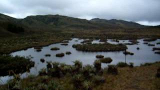 Nacimiento del Río Bogotá [upl. by Eimot830]