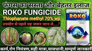 Roko fungicide  Thiophanate Methyl 70 Wp  फंगस को नियंत्रण केसे करे सम्पूर्ण जानकारी [upl. by Evod]