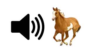 Horse  Sound Effect [upl. by Center903]