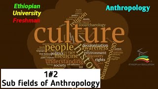 Anthropology 12 Subfields of Anthropology University [upl. by Etteluap557]