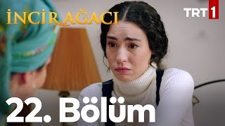 İncir Ağacı 22 Bölüm [upl. by Irfan]