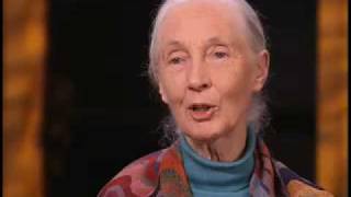 Jane Goodall on Role Zoos Play in Saving Wild Animals [upl. by Zaneski804]